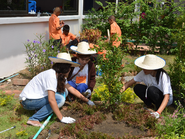 Volunteers gardening